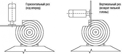 pilorama