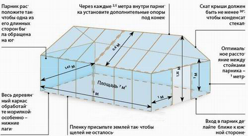 Теплица своими руками — инструкции и советы по проектированию и строительству (120 фото)