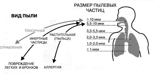 stroitelstvo