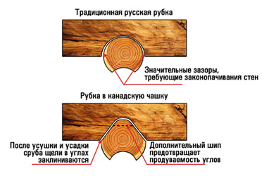 канадчкая чашка